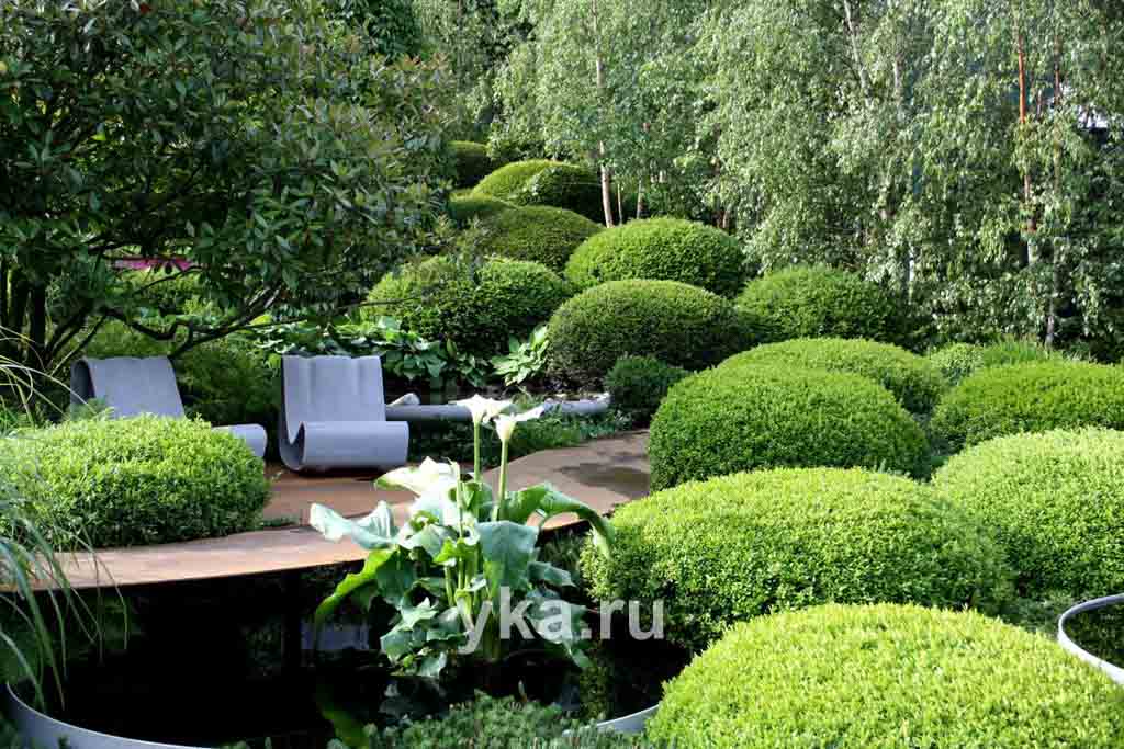 В пейзажных садах фитопластика помогает создавать мягкие переходы, имитируя природные ландшафты