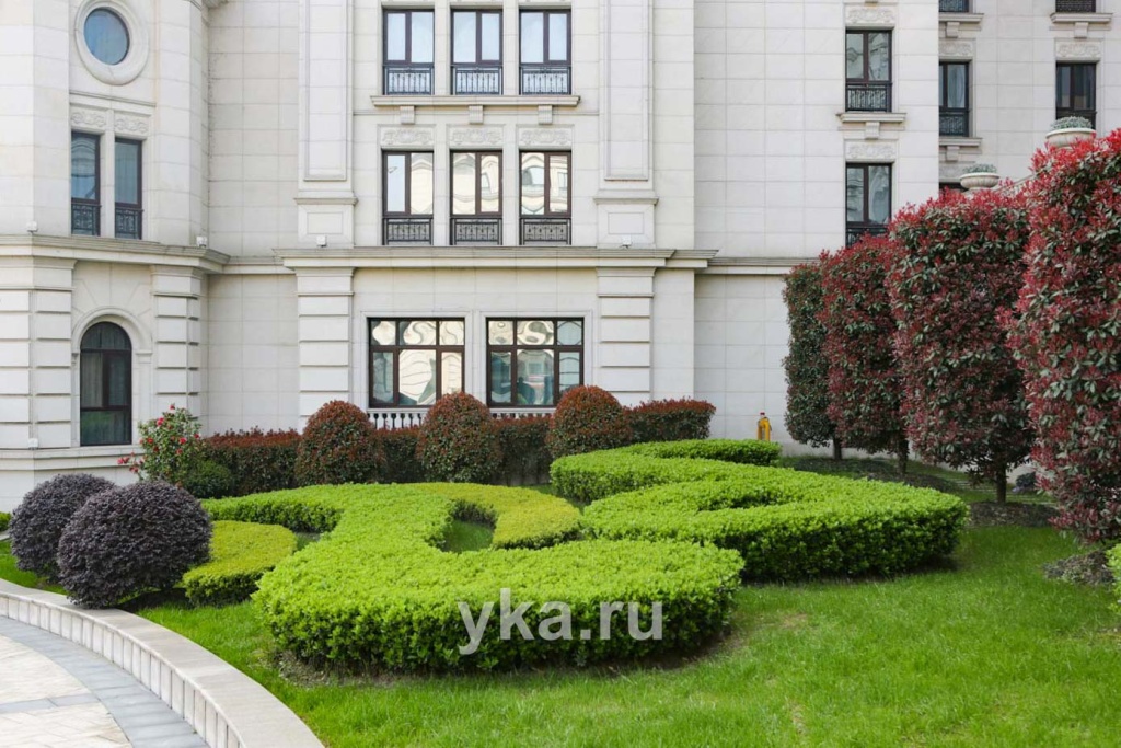 Арабески из живой изгороди и формованных кустарников Арабески из живой изгороди и формованных кустарников