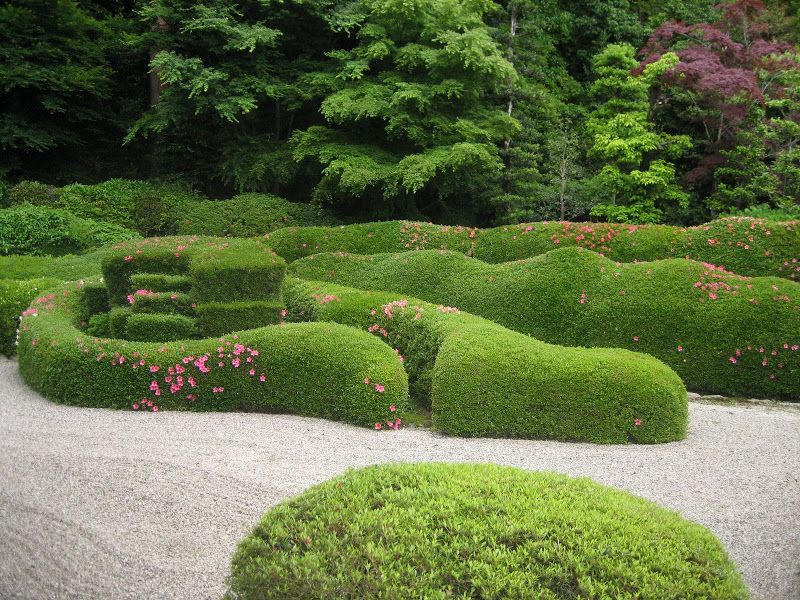 «Гигантский зеленый змей» из японских азалий - оокарикоми